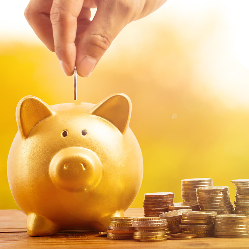 Piggy Bank